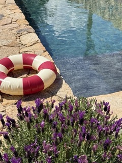Location villas Porto-Vecchio avec piscine