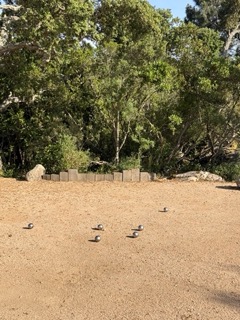 terrain petanque